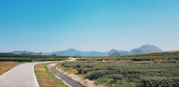 Scenic view of field against clear blue sky