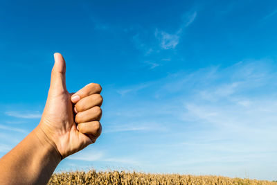 Cropped hand gesturing thumbs up at farm against blue sky