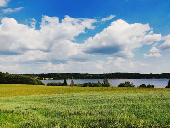 Scenic view of field against sky