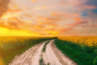 Scenic view of agricultural field against sky during sunset