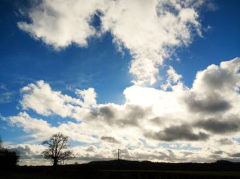 Low angle view of silhouette trees on field against sky