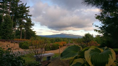 Scenic view of landscape against cloudy sky