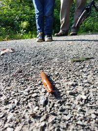 Low section of man legs on road