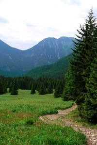 Scenic view of green mountains against sky