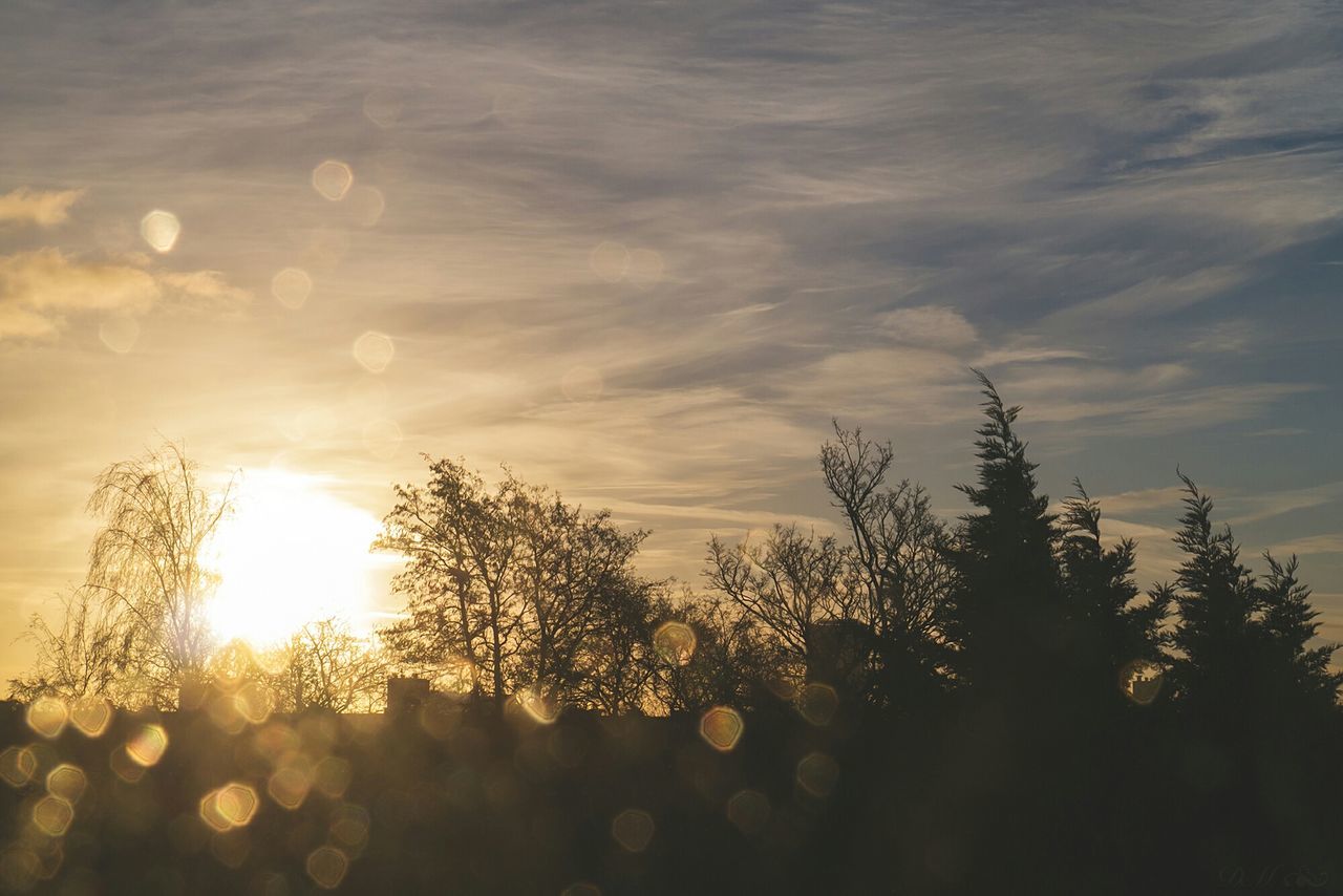 sunset, sun, sky, silhouette, tranquility, beauty in nature, tranquil scene, scenics, cloud - sky, tree, nature, sunlight, growth, idyllic, sunbeam, orange color, cloud, outdoors, landscape, low angle view