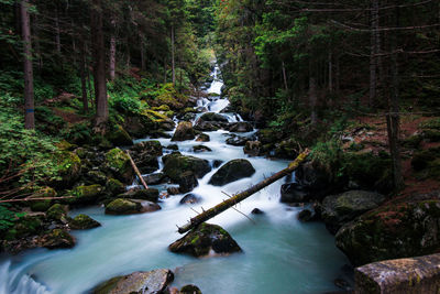 High angle view of river amidst trees in forest