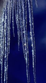 Close-up of frozen leaf against sky at night