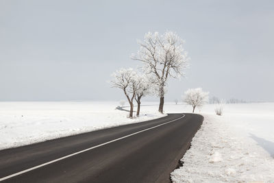 Trees on road by snow covered land against sky