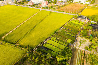 High angle view of agricultural field