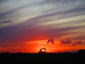 Silhouette trees on field against romantic sky at sunset