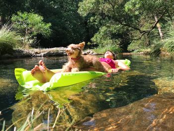 Dog floating on water in lake