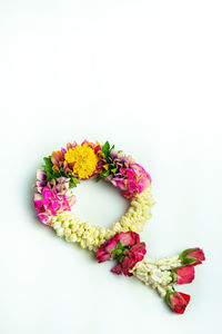 Close-up of pink flowers against white background