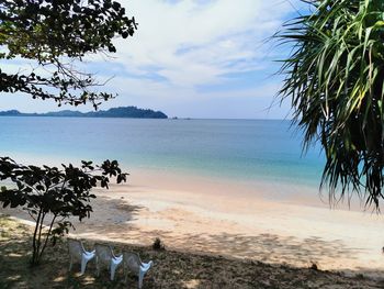 Scenic view of sea against sky