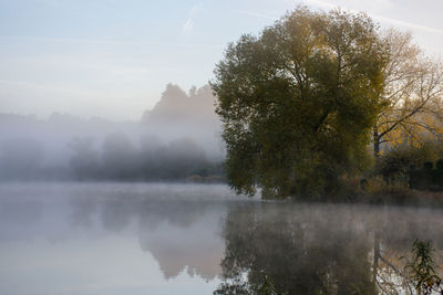 Reflection of trees in lake against sky