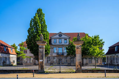 Trees and buildings against blue sky