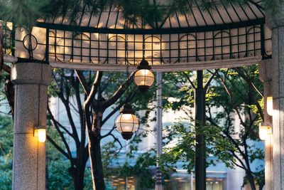 Illuminated lighting equipment hanging at gazebo