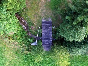 High angle view of trees on field in forest