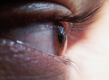 Extreme close-up of human eye