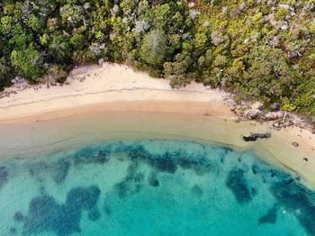 Aerial view of beach