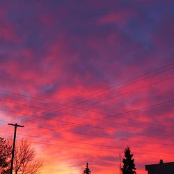 Silhouette of trees at sunset