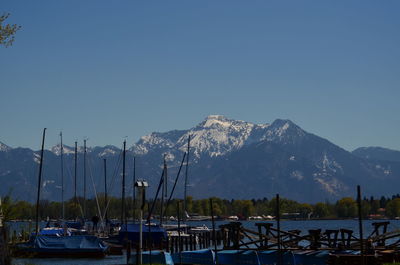 Sailboats moored at harbor against clear sky