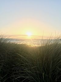 Scenic view of sunset over sea