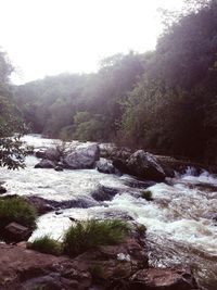 Scenic view of waterfall in forest against clear sky