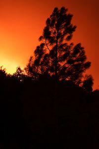 Low angle view of silhouette trees against sky during sunset