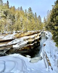 Snow covered land by lake in forest