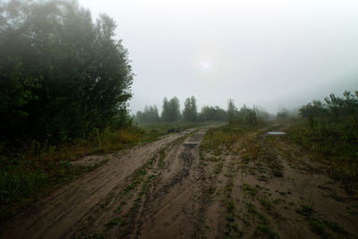 Dirt road amidst trees against sky