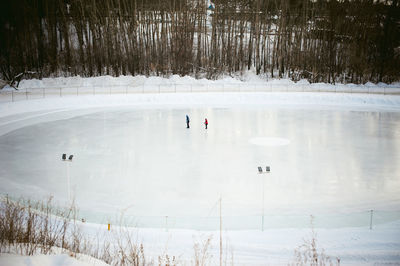People ice skating in rink