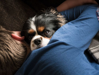 Close-up of woman with dog at home