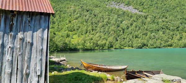 Scenic view of lake against trees