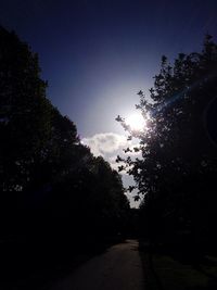 Empty road along trees