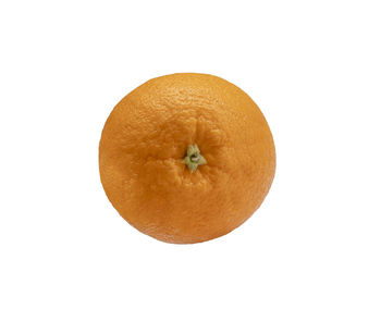 Close-up of orange against white background