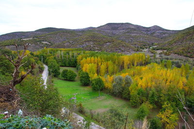 Scenic view of mountains