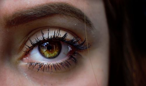 Extreme close-up of woman eye