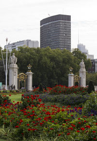 Buildings in city against sky