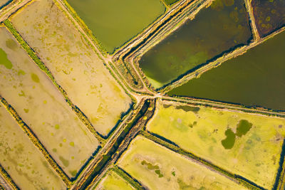 Aerial view of irrigation system