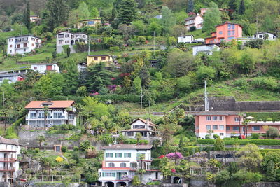 Houses in a town