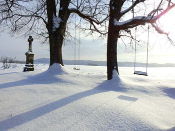 Bare trees on snow covered field