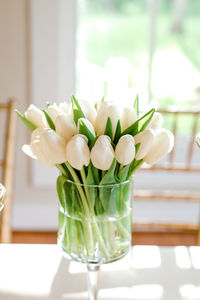 Close-up of white tulips in vase on table