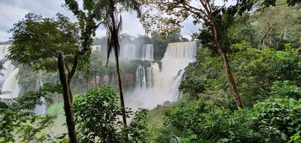 Panoramic view of waterfall in forest