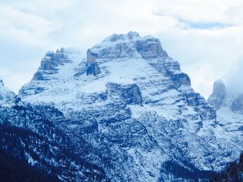 Low angle view of snow covered trees against sky