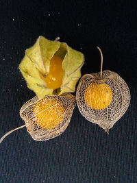 High angle view of lemon on table