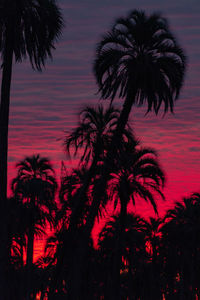 Low angle view of silhouette palm trees against romantic sky