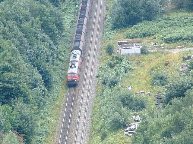 HIGH ANGLE VIEW OF TRAIN ON RAILROAD TRACKS IN FOREST