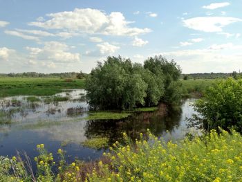 Scenic view of lake against cloudy sky