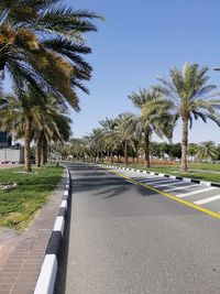 Road by palm trees against clear sky