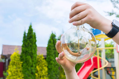 An incandescent light bulb in a childs hands, a close-up. garden cleanup